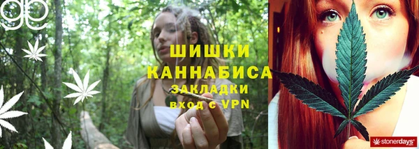молекула духа Алзамай