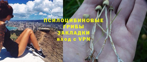 спиды Алексин