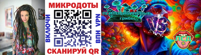 Псилоцибиновые грибы мицелий Сураж